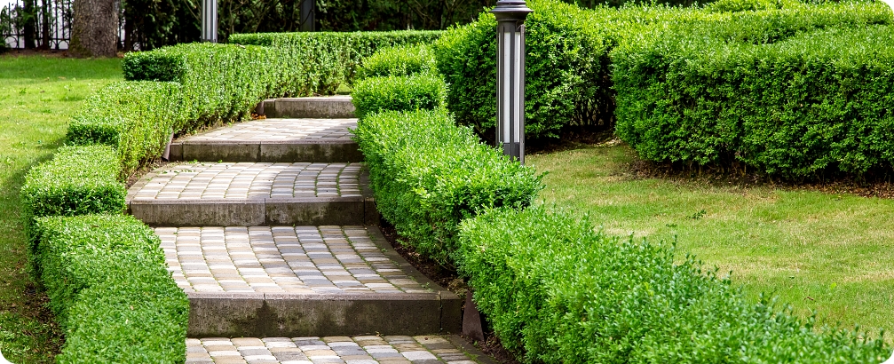 Brick Pavers In Tequesta 