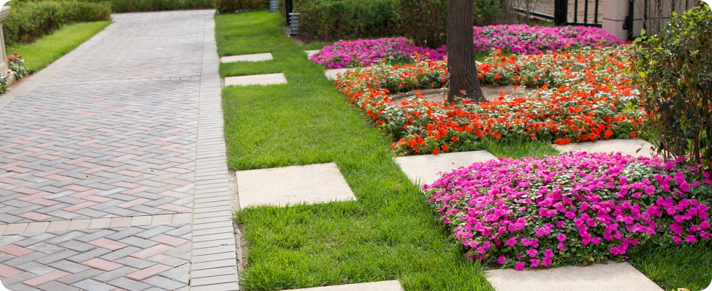 Sidewalk in the garden